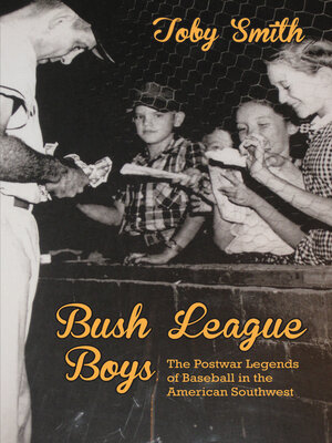 cover image of Bush League Boys